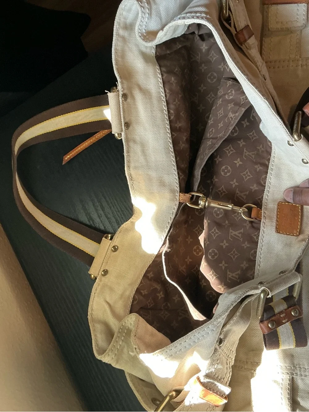 Louis Vuitton authentic louis