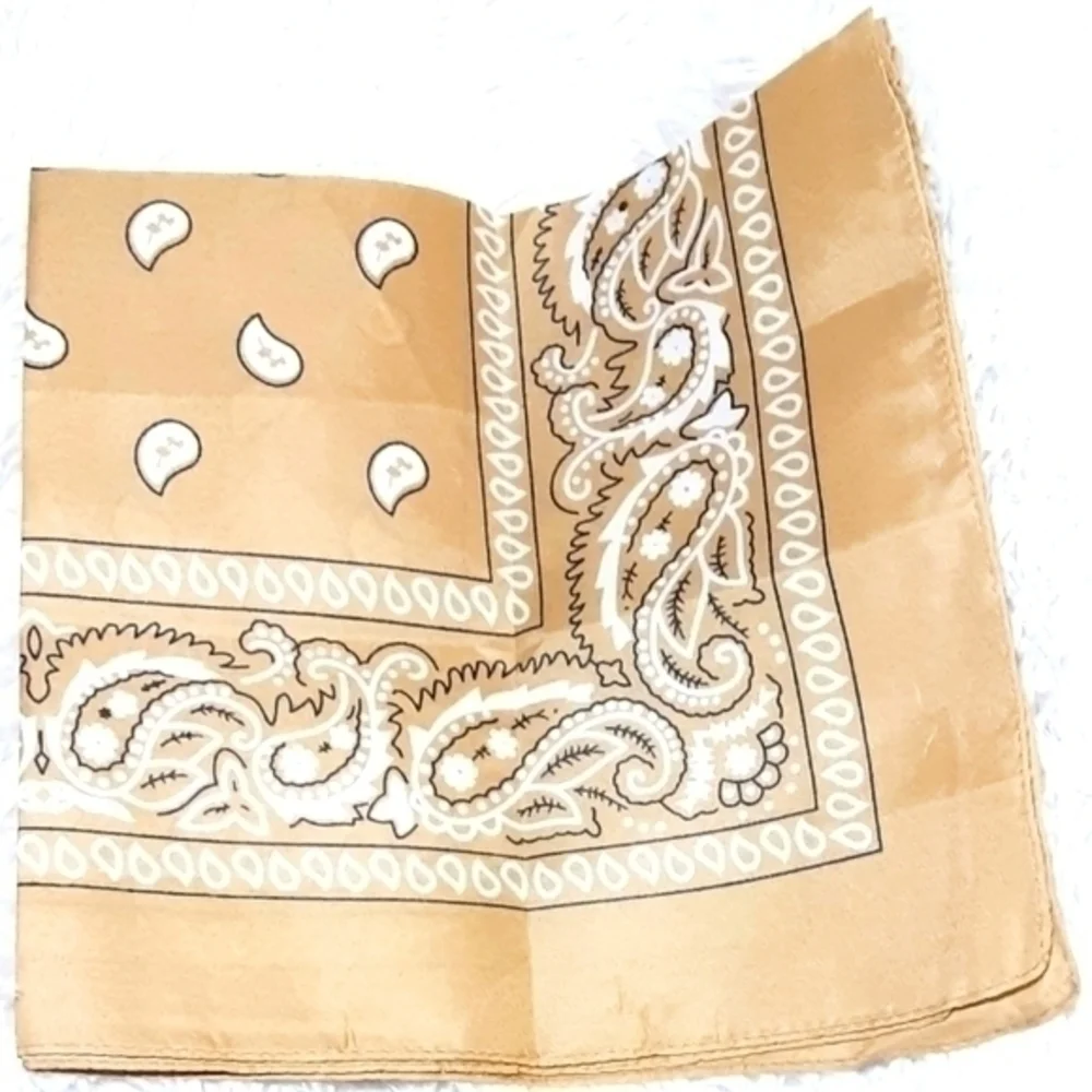 N/A classic paisley