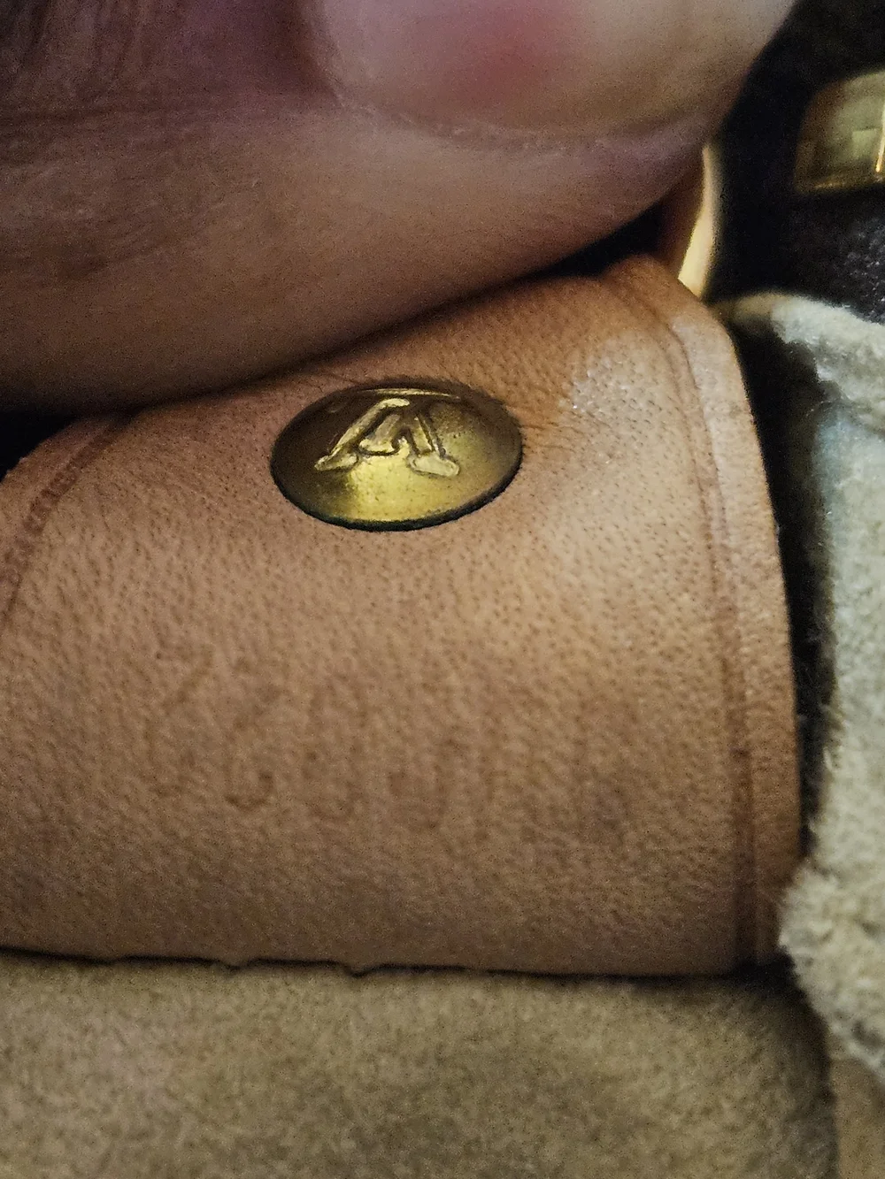 Louis Vuitton iconic louis