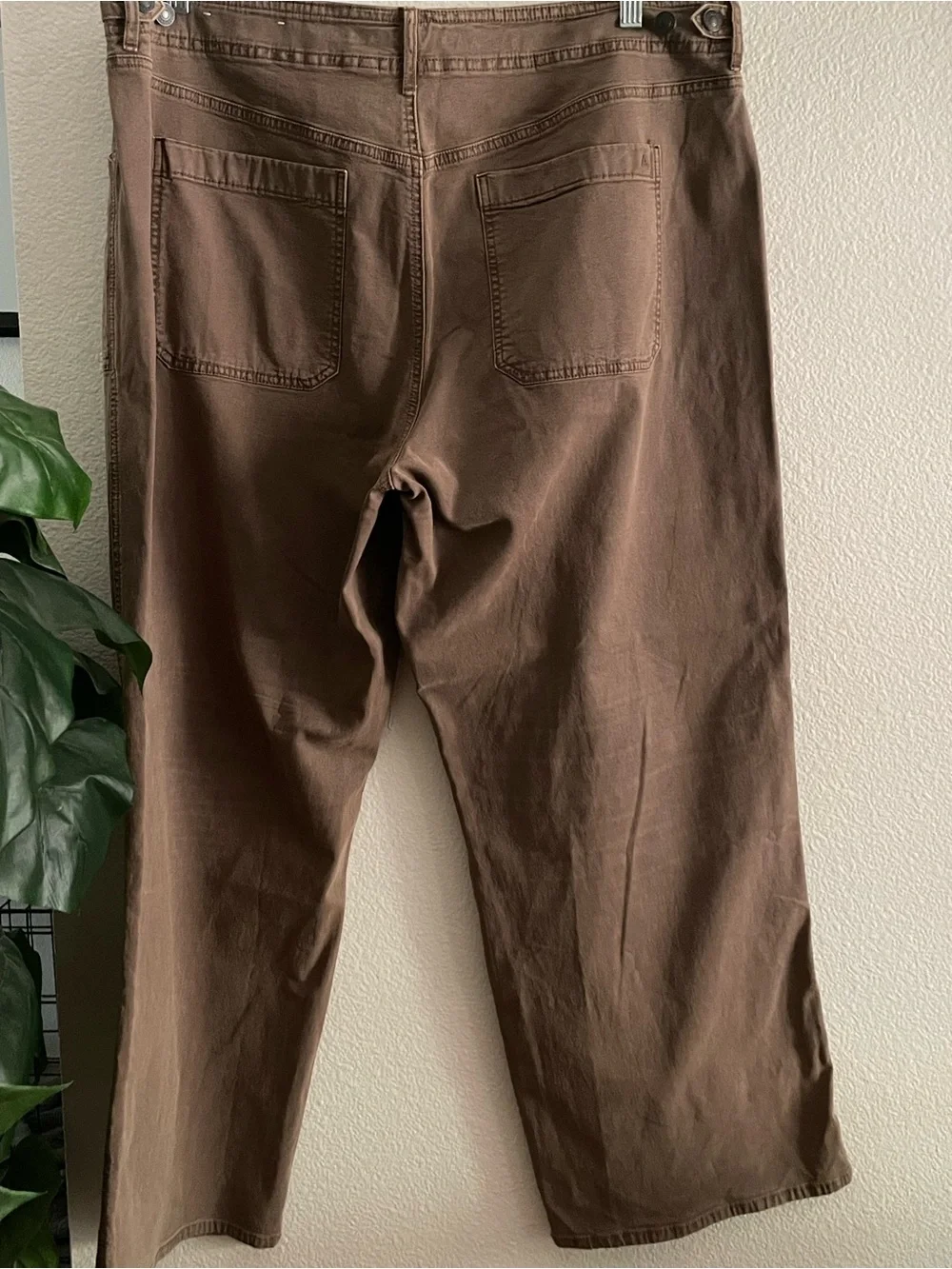 American Eagle Outfitters american eagle