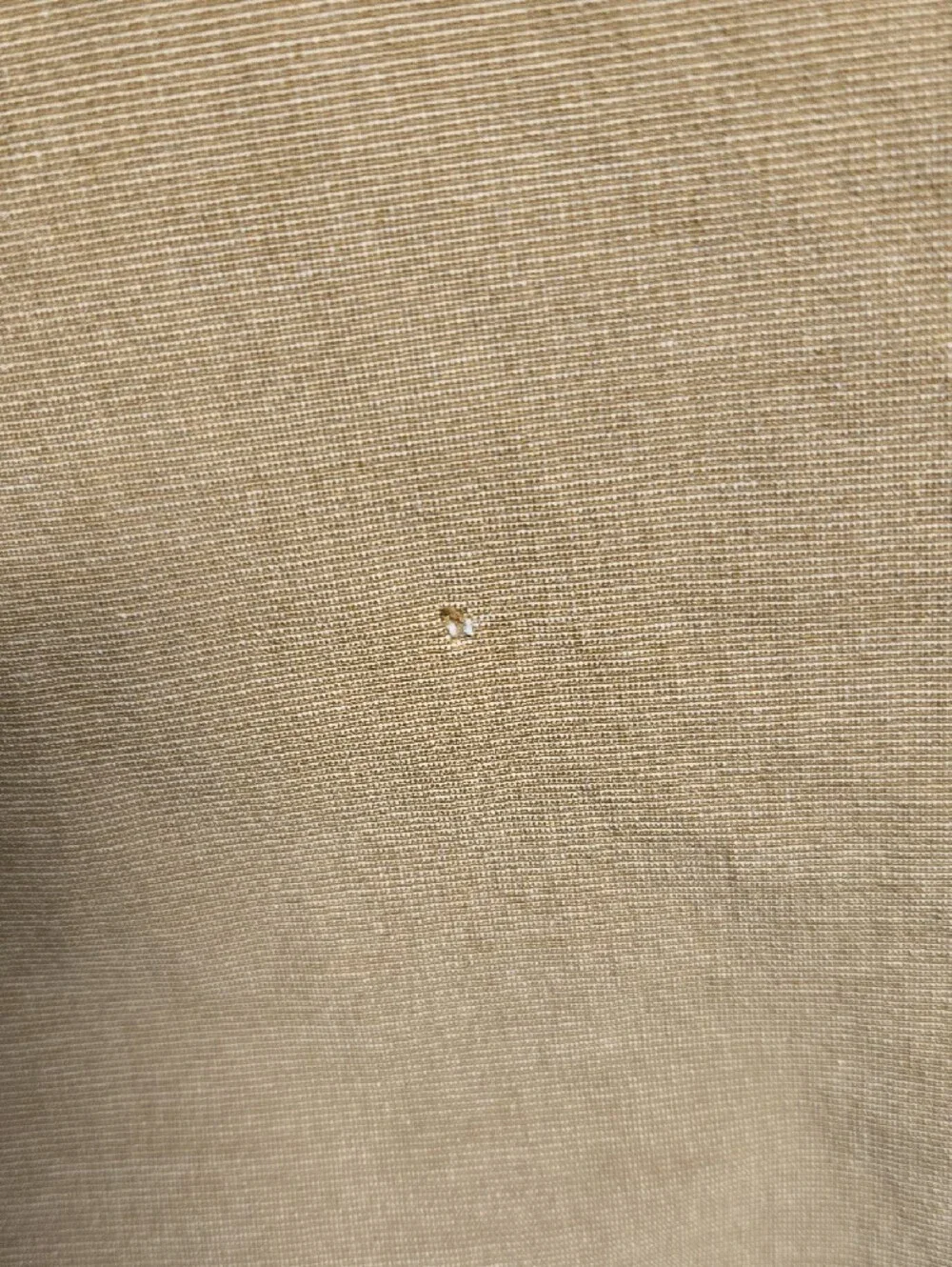 Sonoma Men's Cargo Shorts in Tan