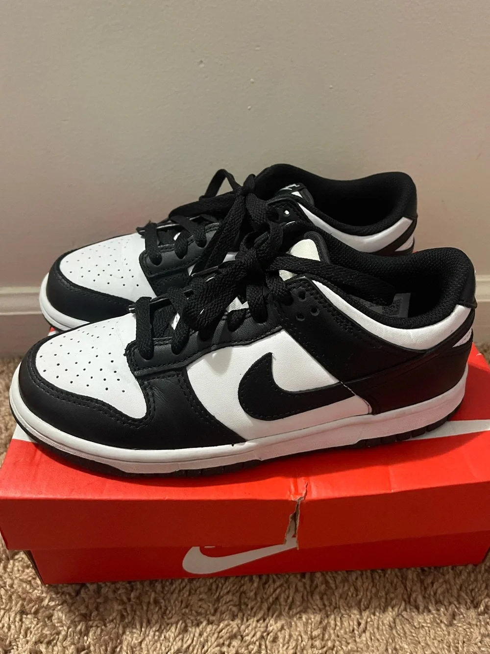 Nike dunk big