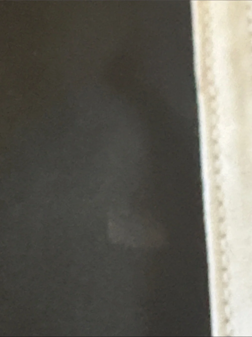N/A adidas pants