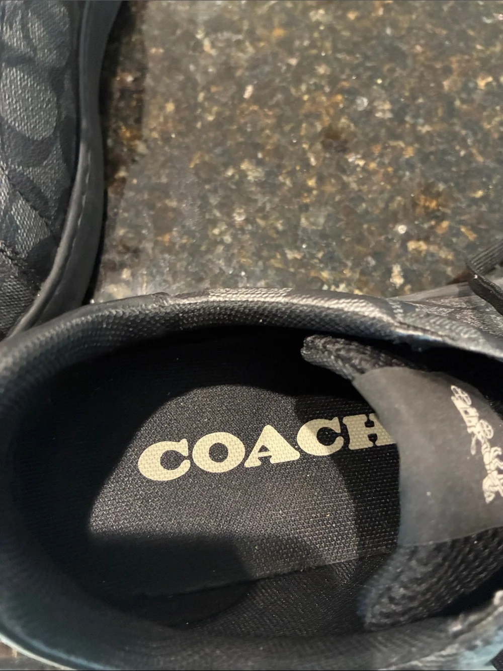 Coach low top