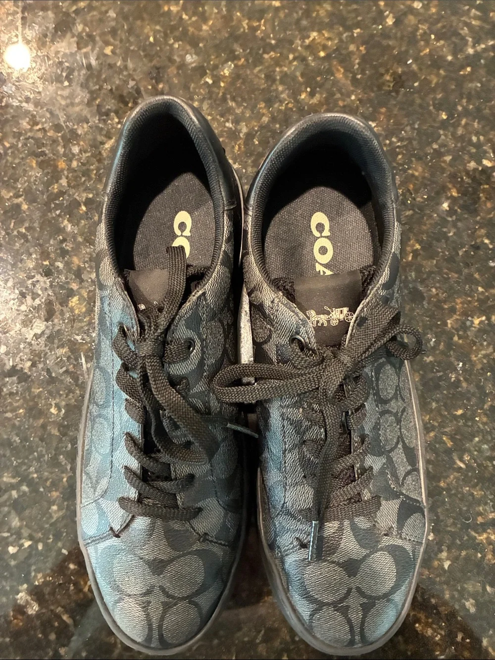 Coach low top