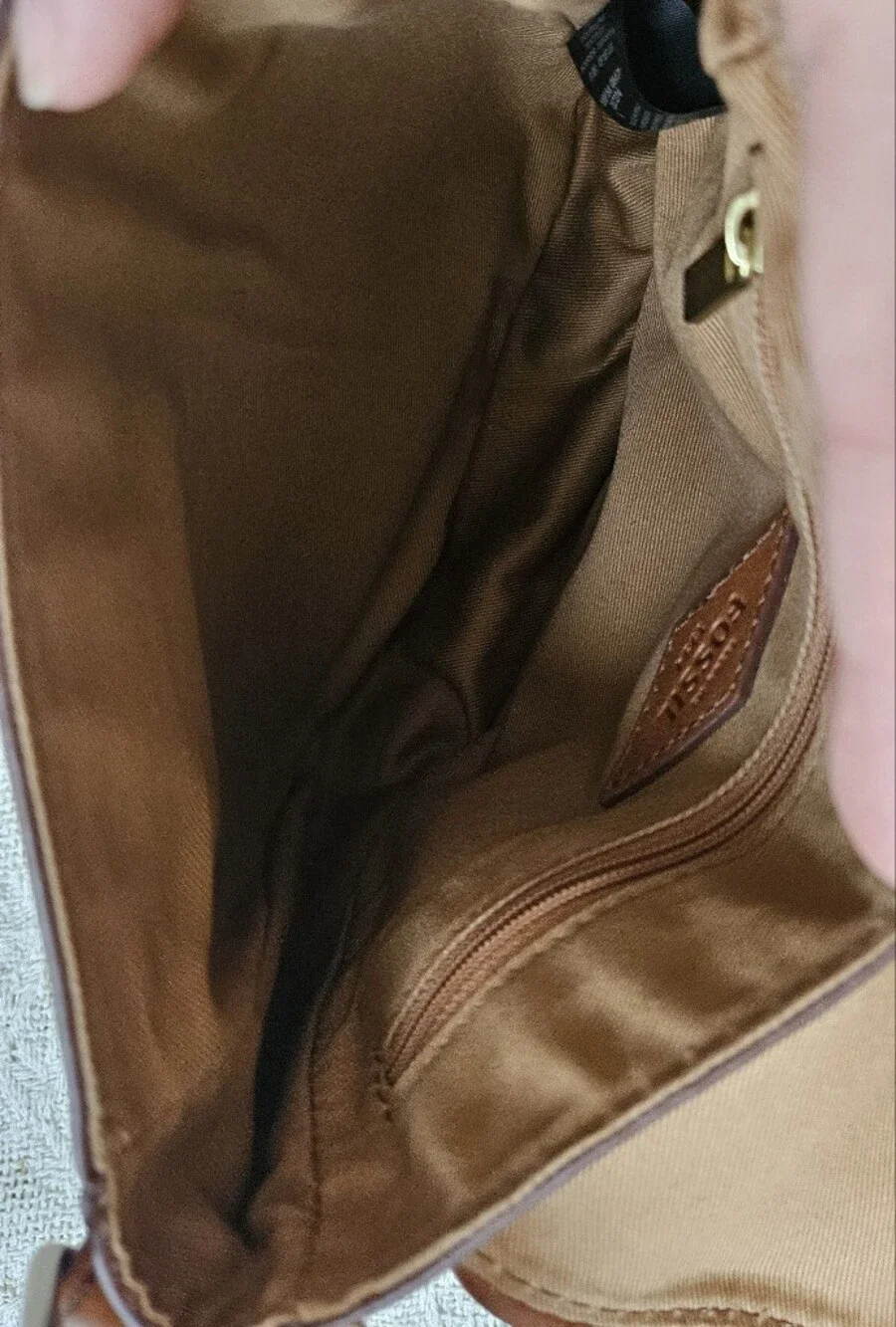 Fossil beautiful brown