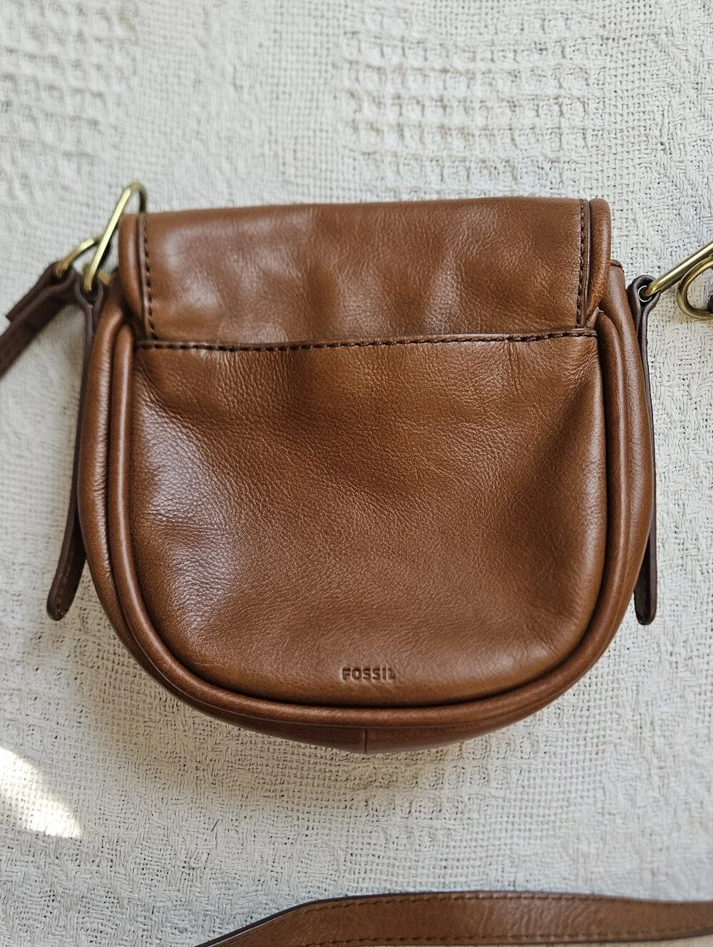 Fossil beautiful brown