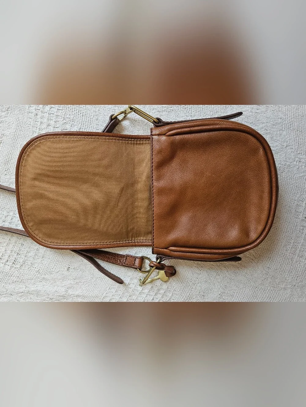 Fossil beautiful brown