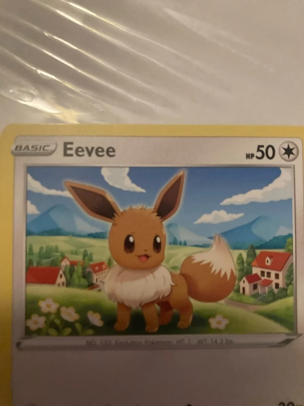 Pokemon official eevee