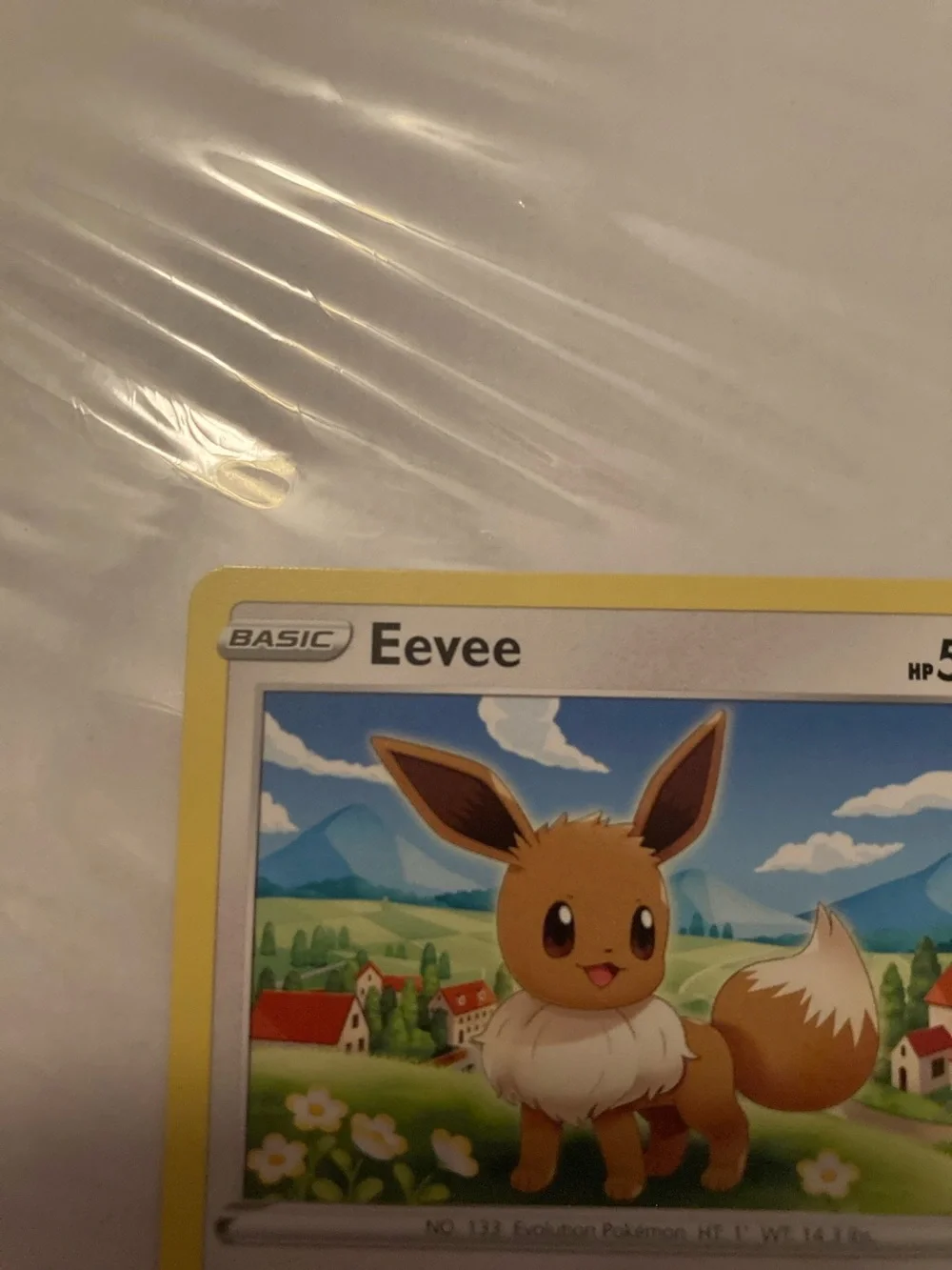 Pokemon official eevee