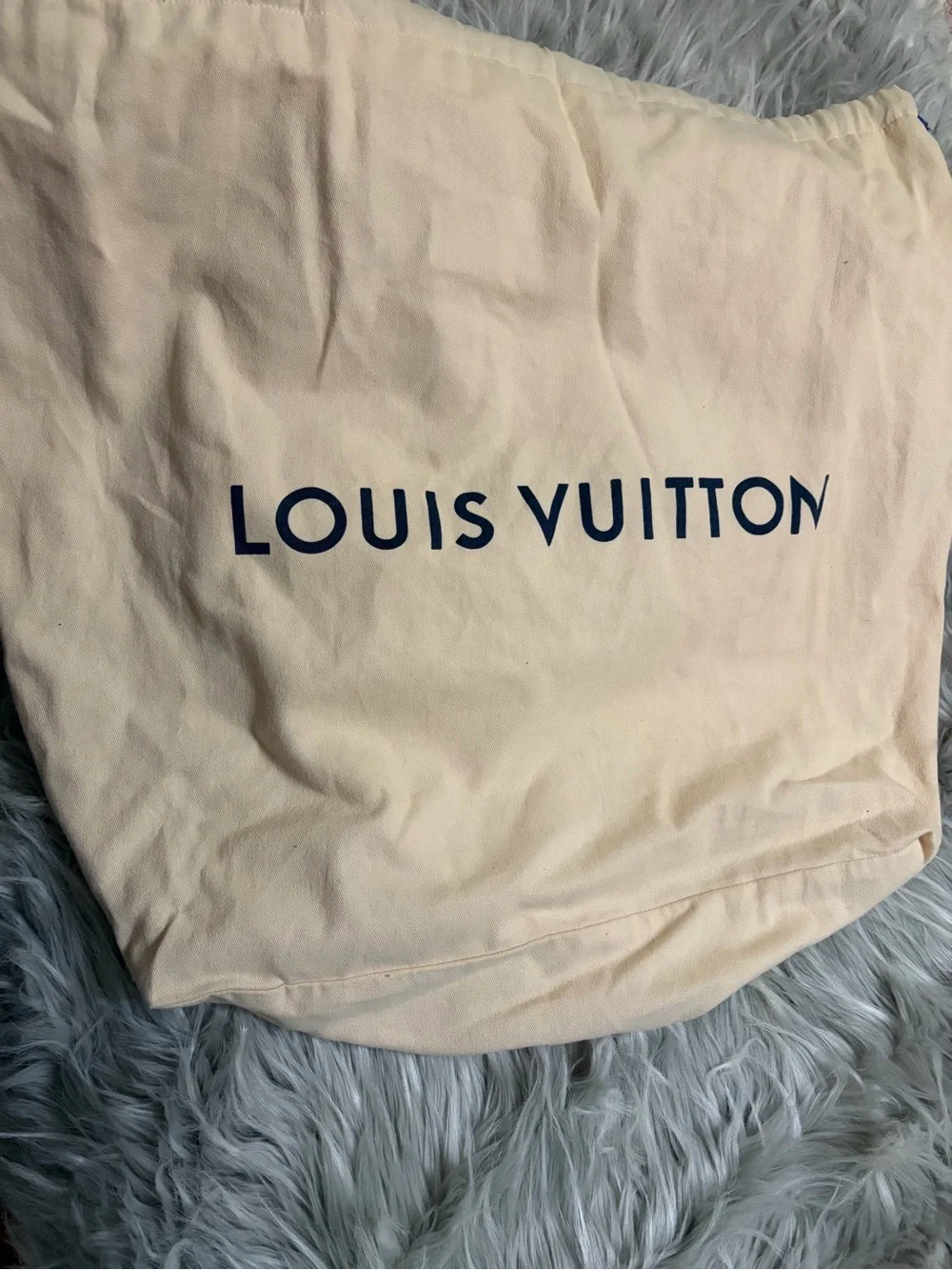 Louis Vuitton Tuileries Hobo Handbag