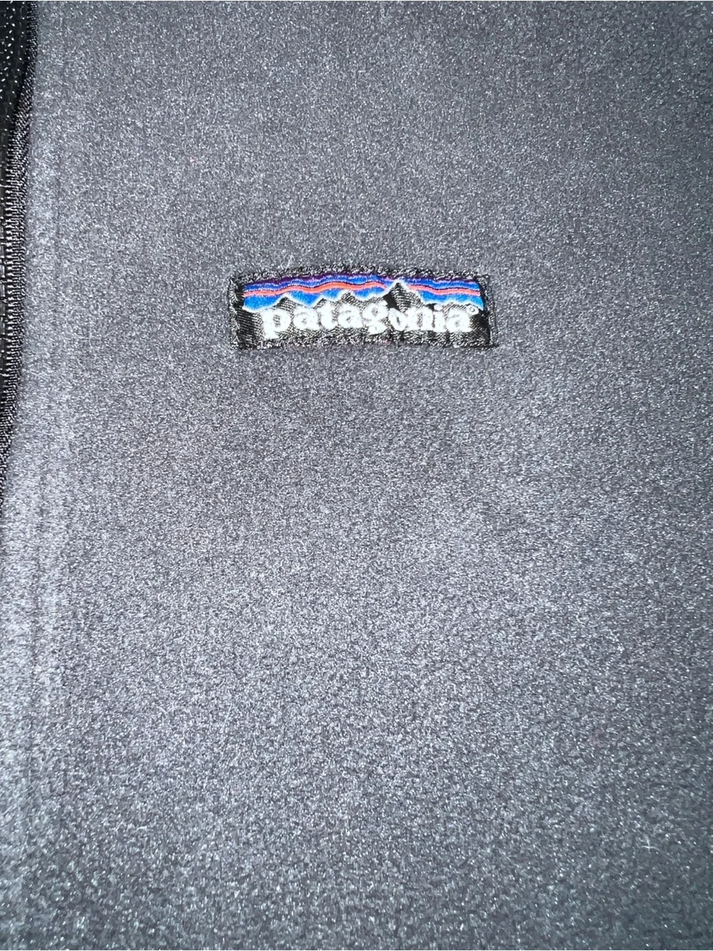 Patagonia Kids Black Full-Zip Fleece Jacket with Blue Zip Pulls