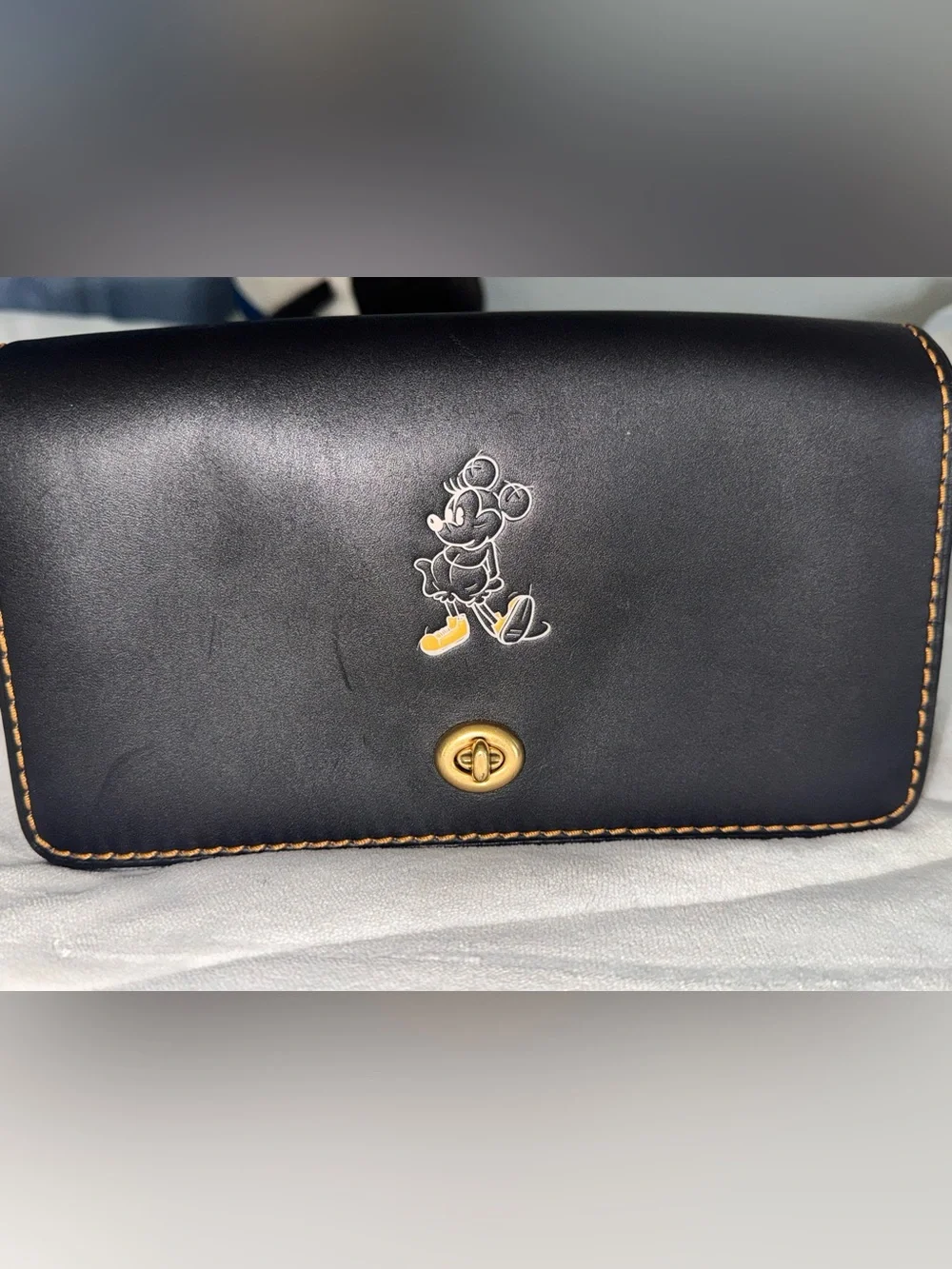 Coach photos contrast