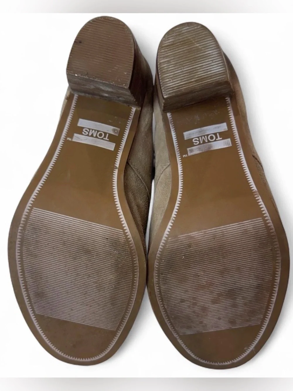 Toms lunata suede