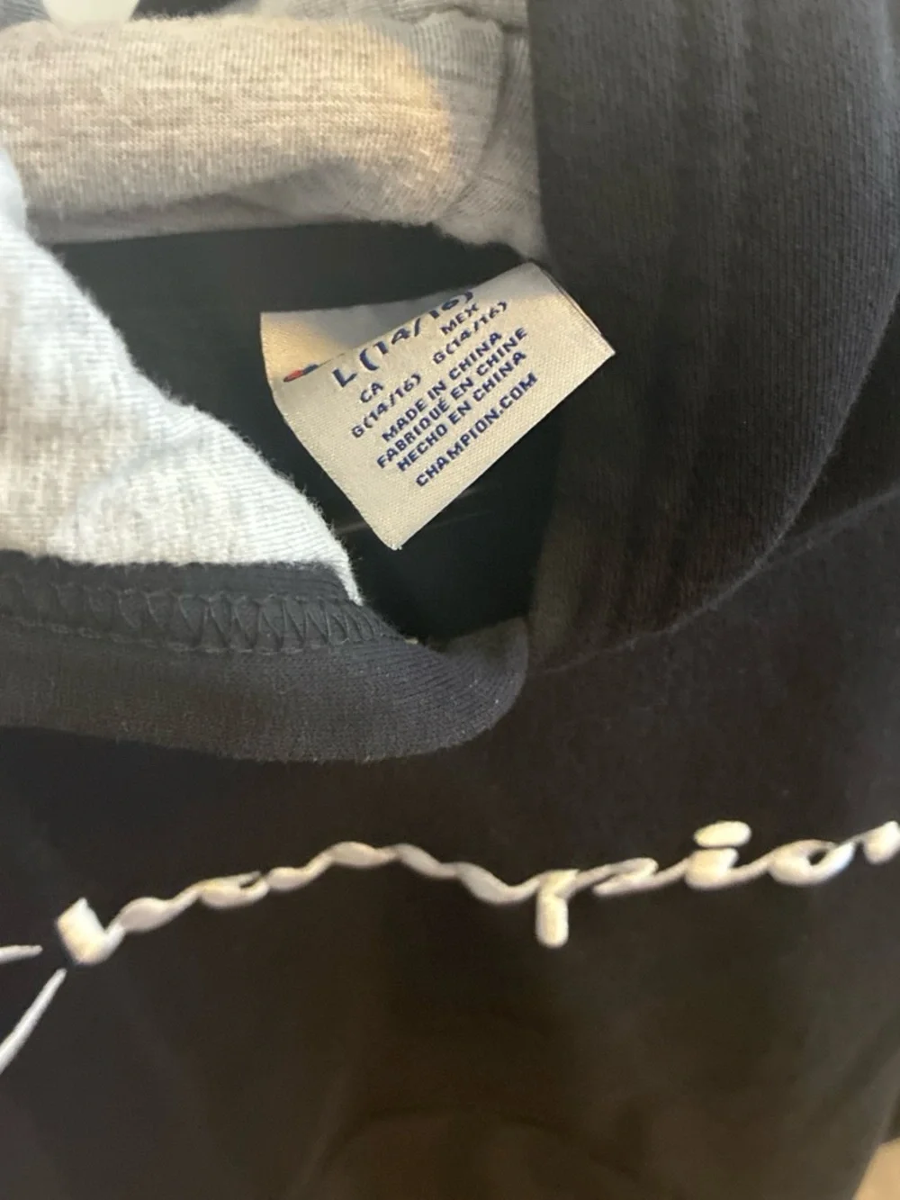 Champion classic hoodie