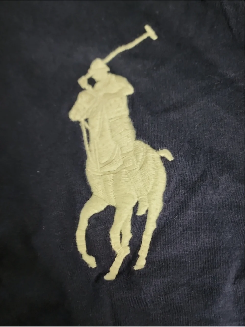 Polo Ralph Lauren pony review blue