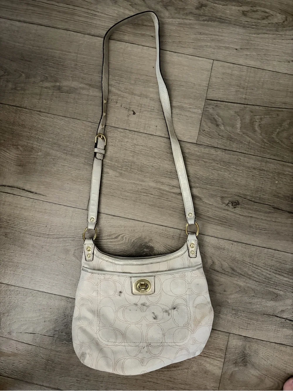 Authentic Vintage Coach Bag: Project Bag