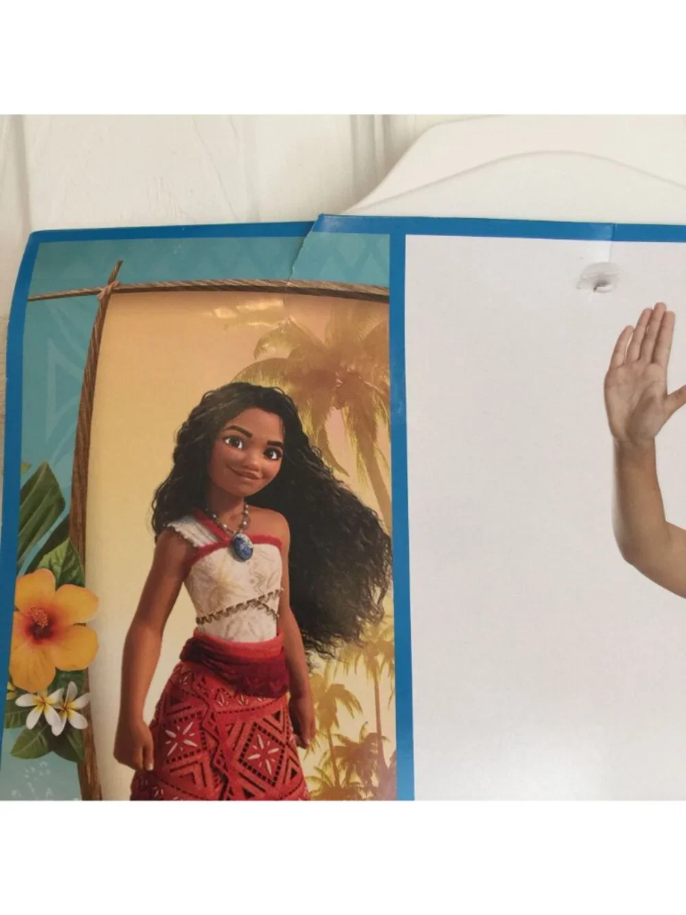 Disney moana kids