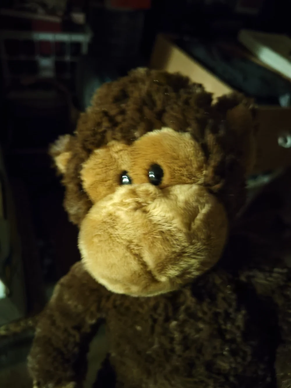 Ty soft plush