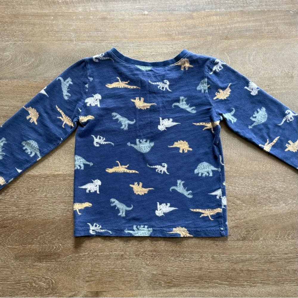 🐻 2/$25 • Bundle • Adventure & Dino Long Sleeved Tees + Skinny Jeans