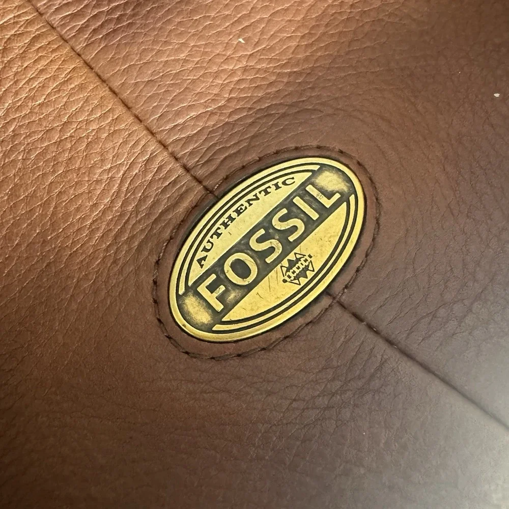 Fossil explorer large