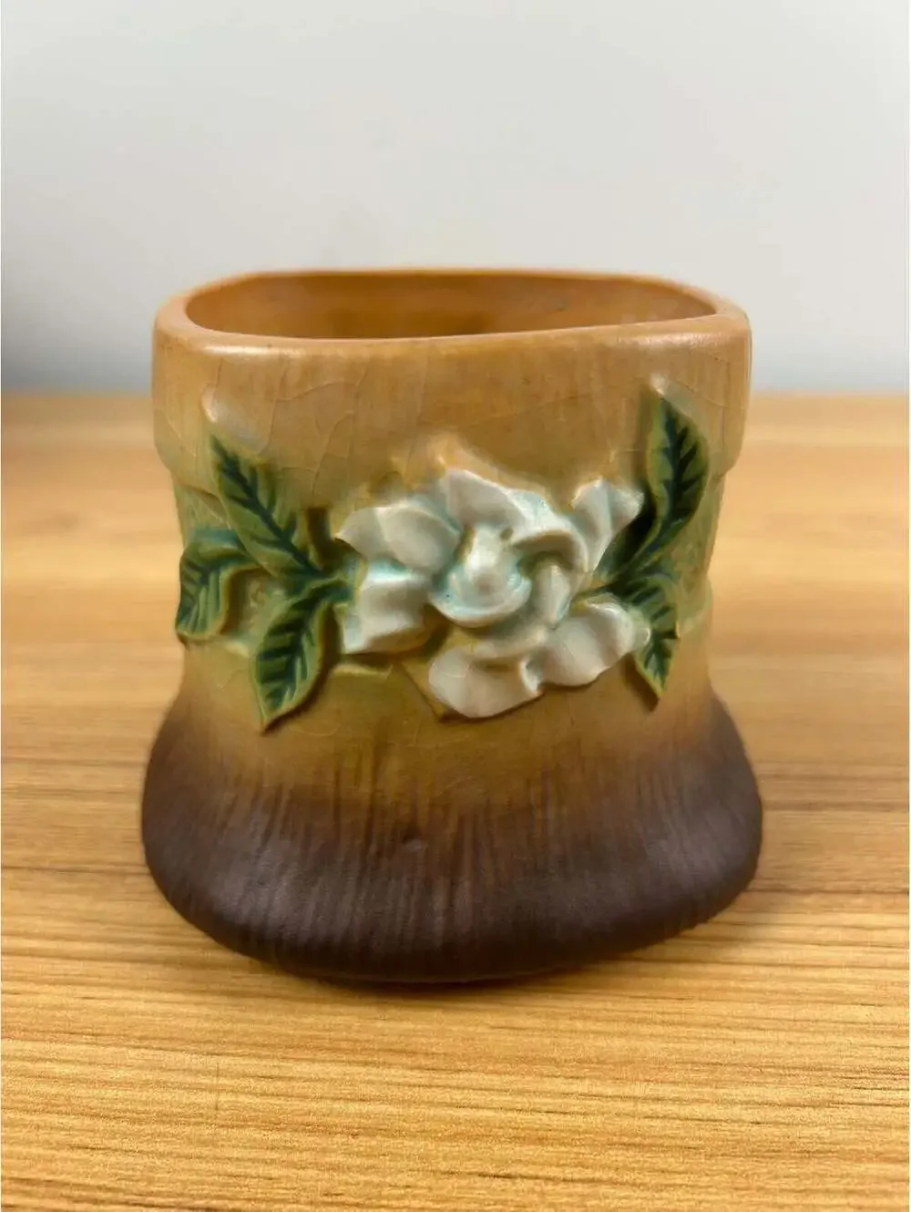Roseville charming gardenia