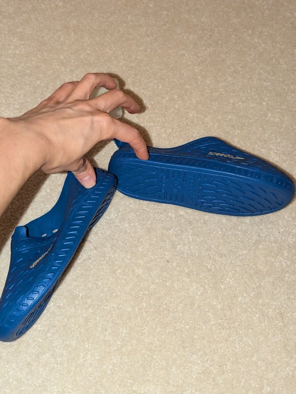 Speedo brand new