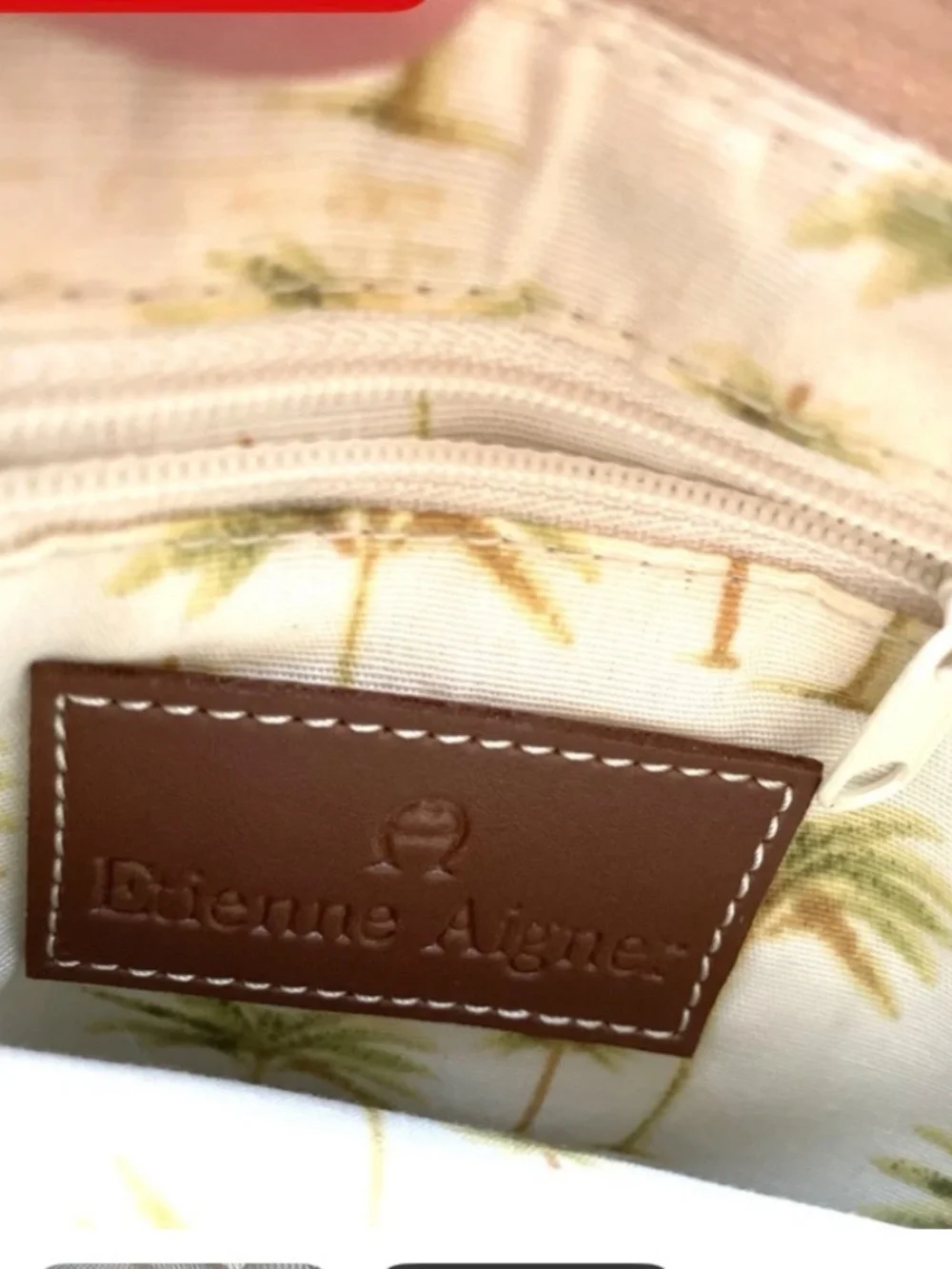 Etienne Aigner bag crossbody