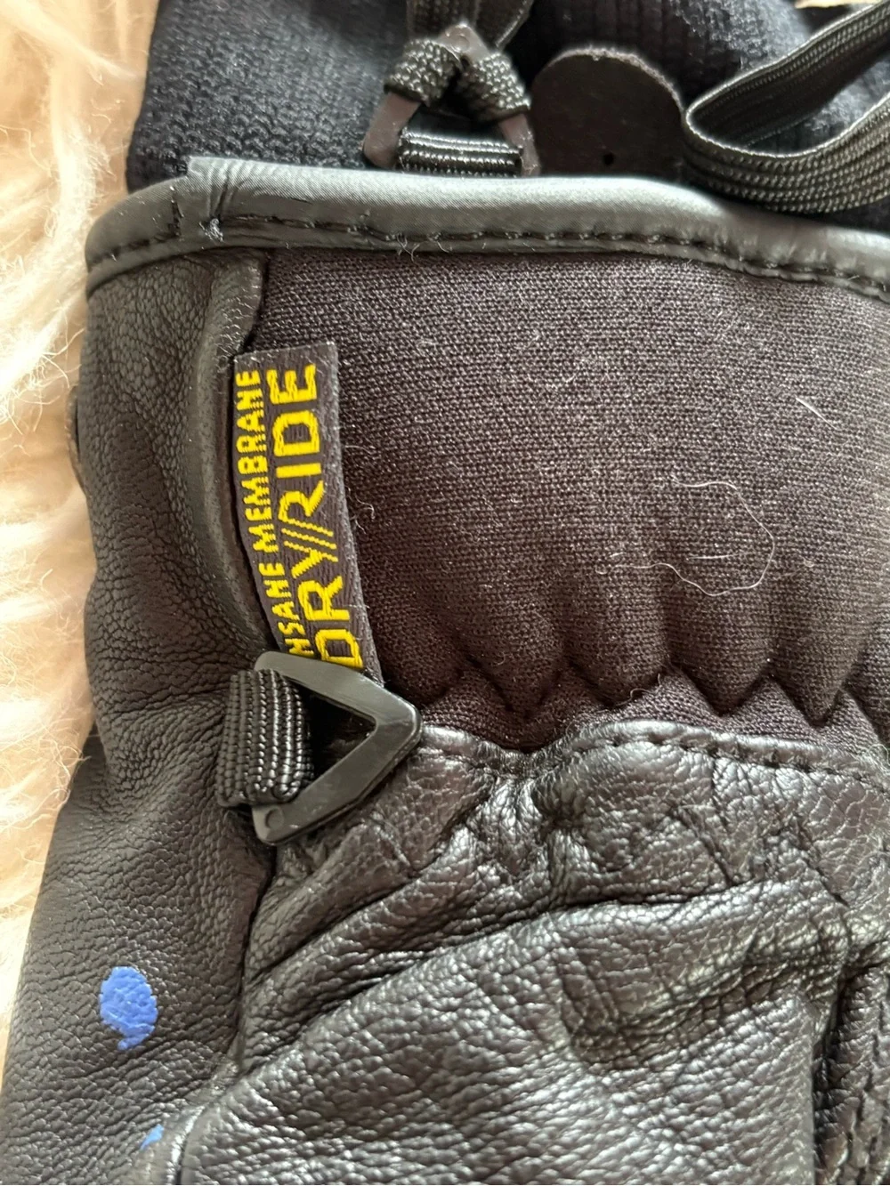 Burton premium favorite