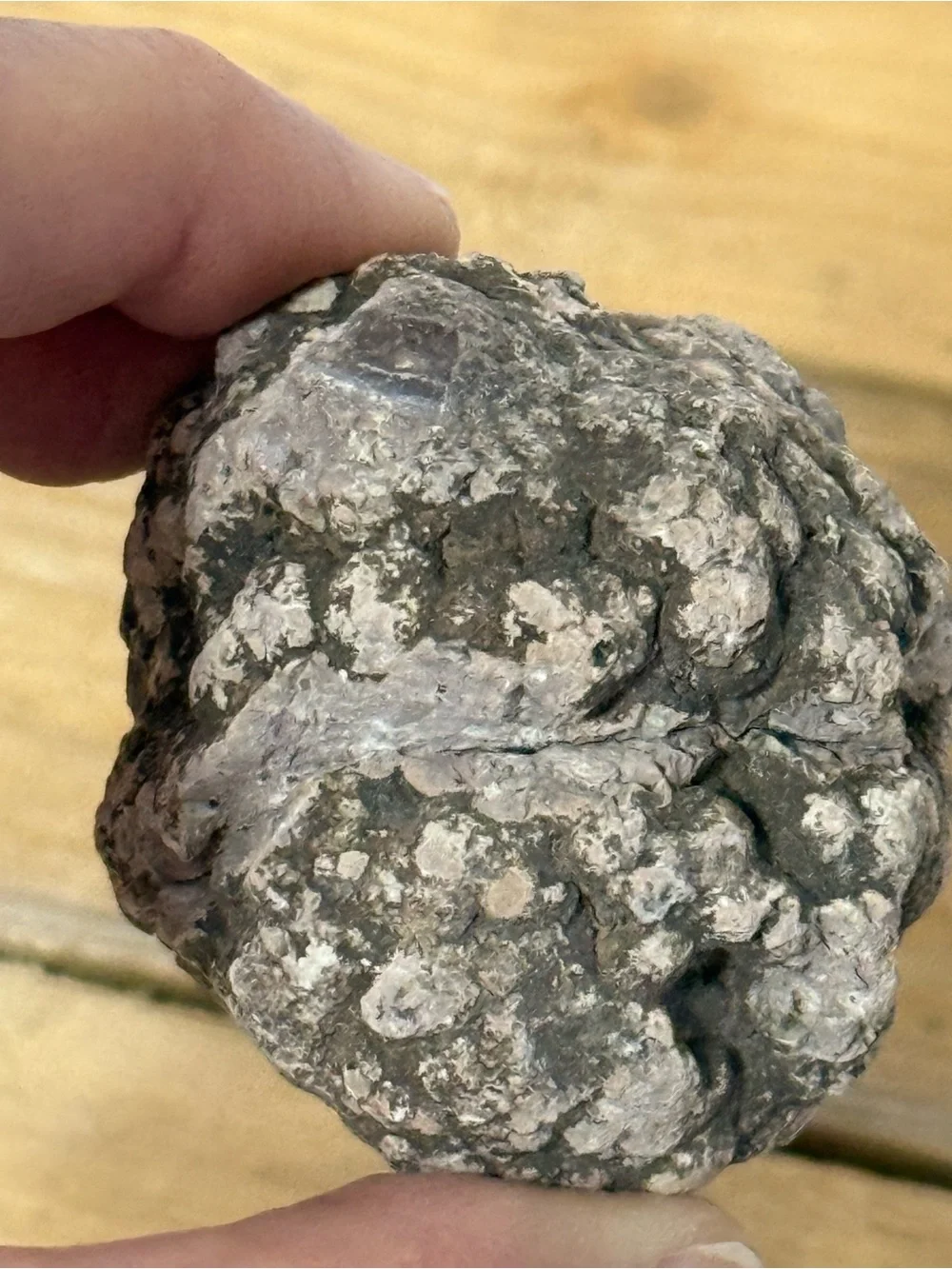 Source Unknown natural geode
