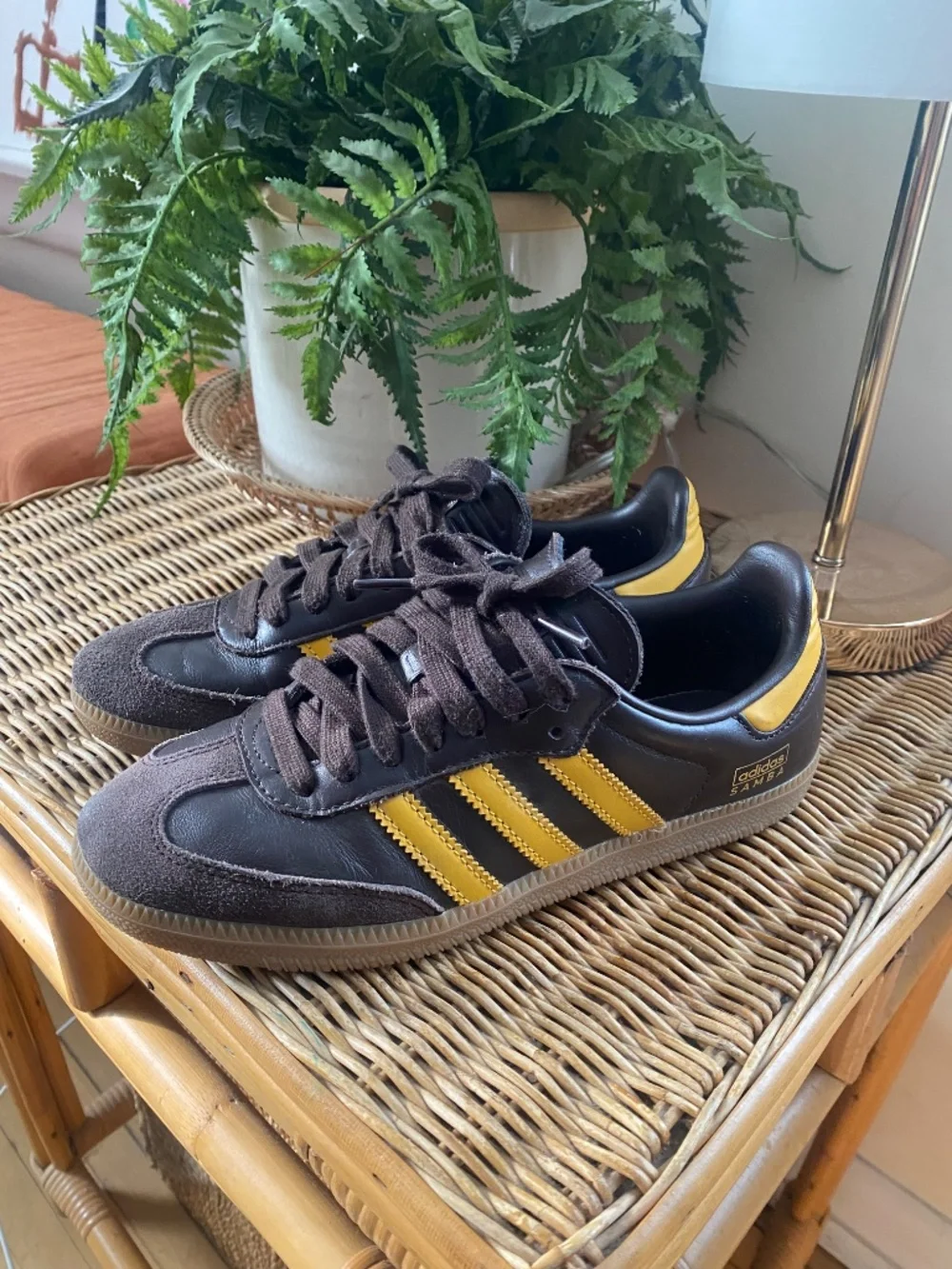 adidas reposhing this