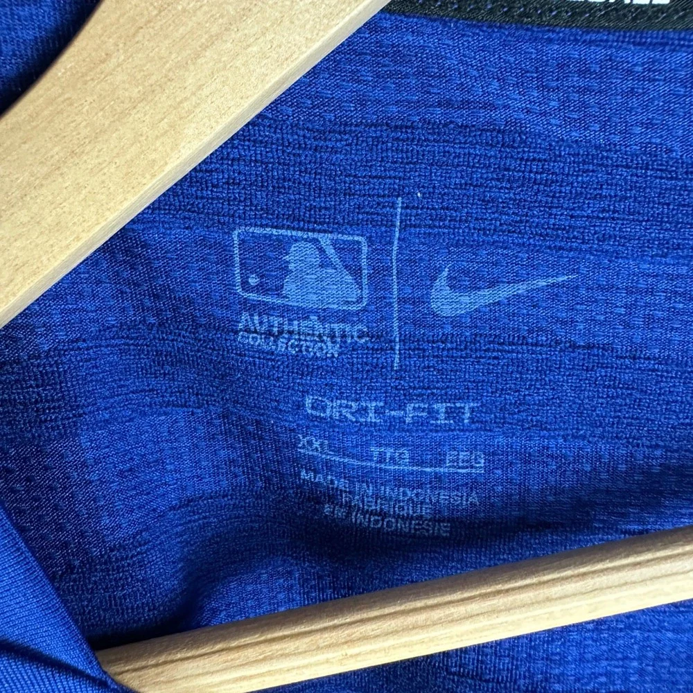 Nike toronto blue