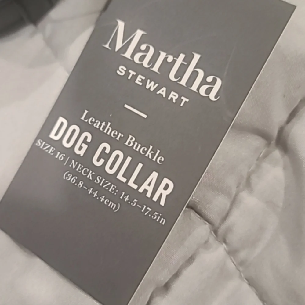 Martha Stewart new brand dog