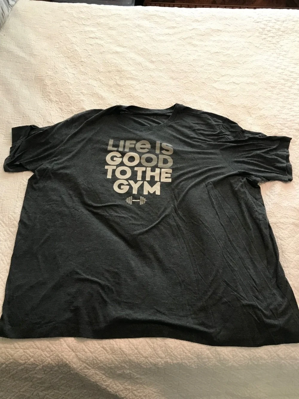 Life is Good “Go to the Gym” gray printed short sleeve crewneck tee shirt (3XL)