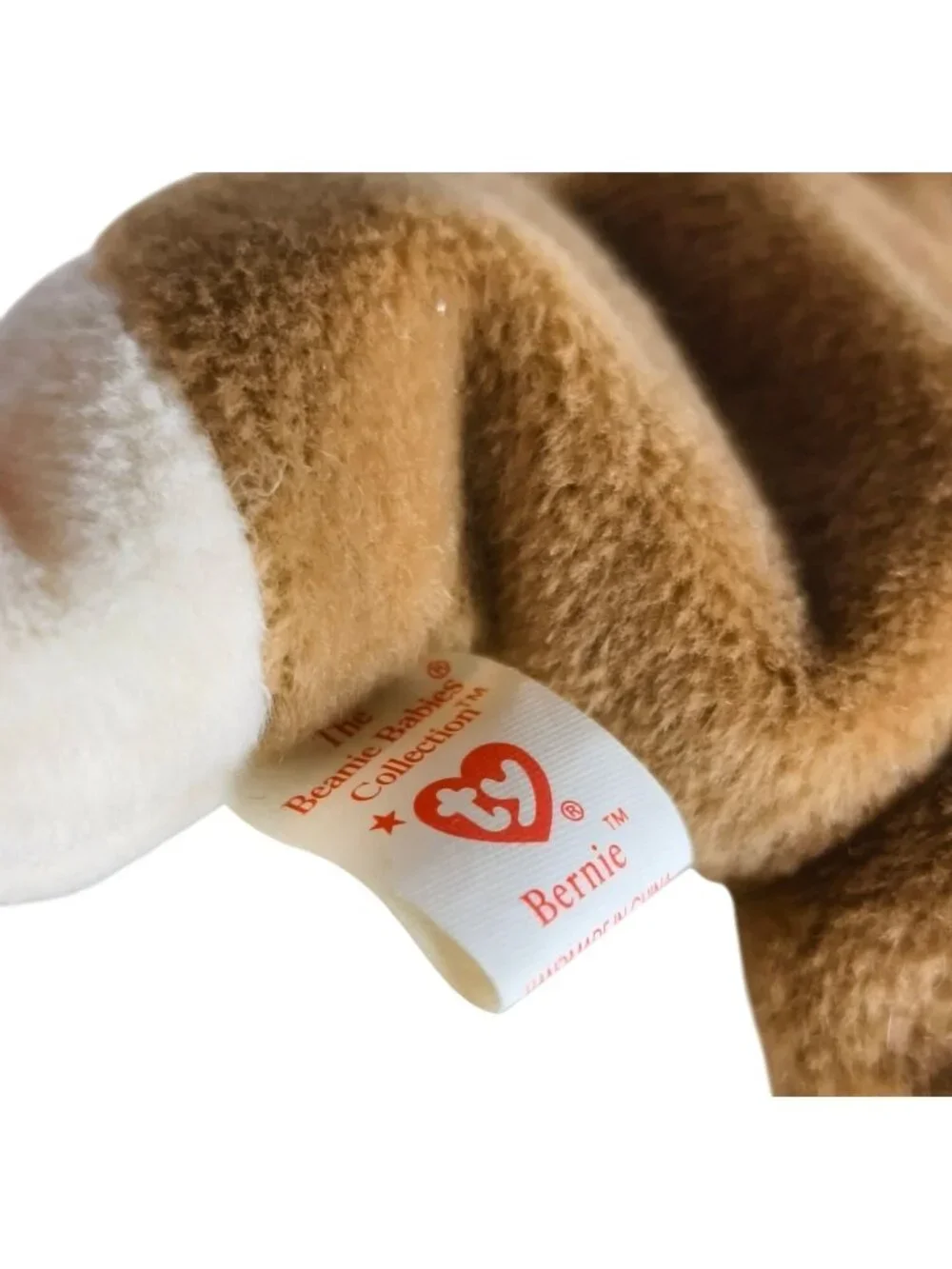Beanie Babies bernie lovable