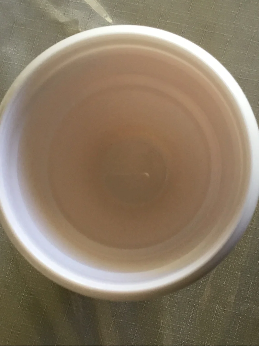 New Disney Figment Travel Tumbler Cup 