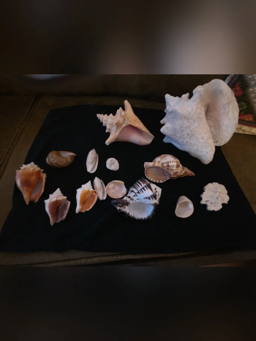 N/A natural crafts