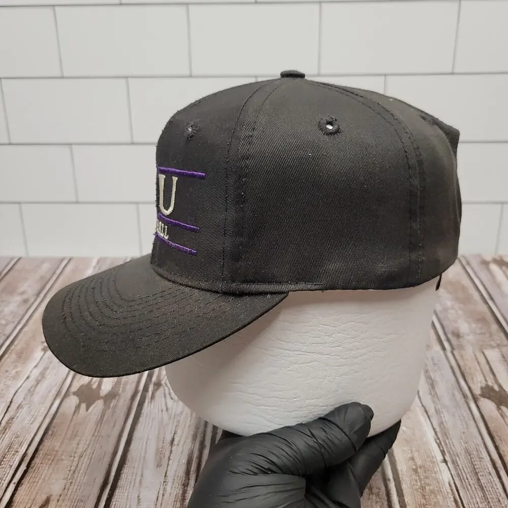 Vintage The Game Northwestern Wildcats Football Snapback Hat Black Purple NCAA