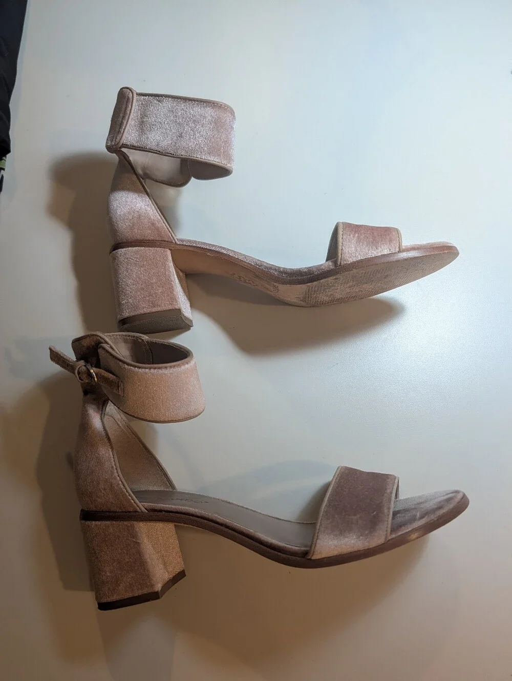 Bernardo elegant velvet