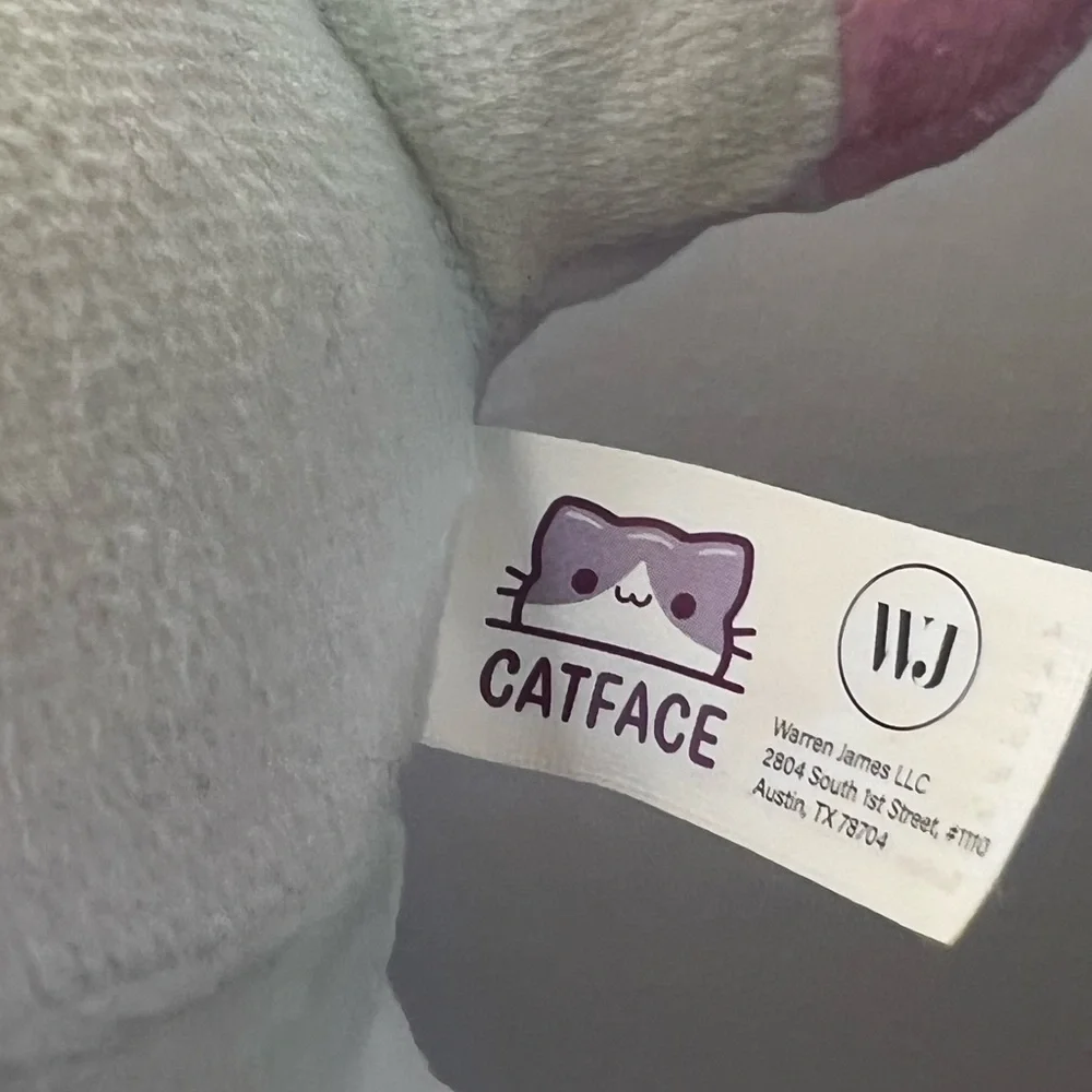 Catface rainbow cat