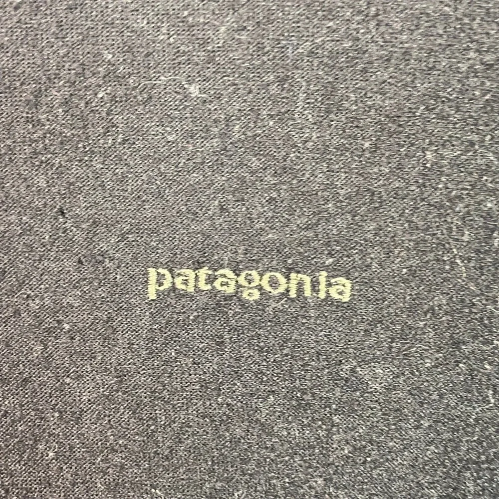 Patagonia capilene shown quarter