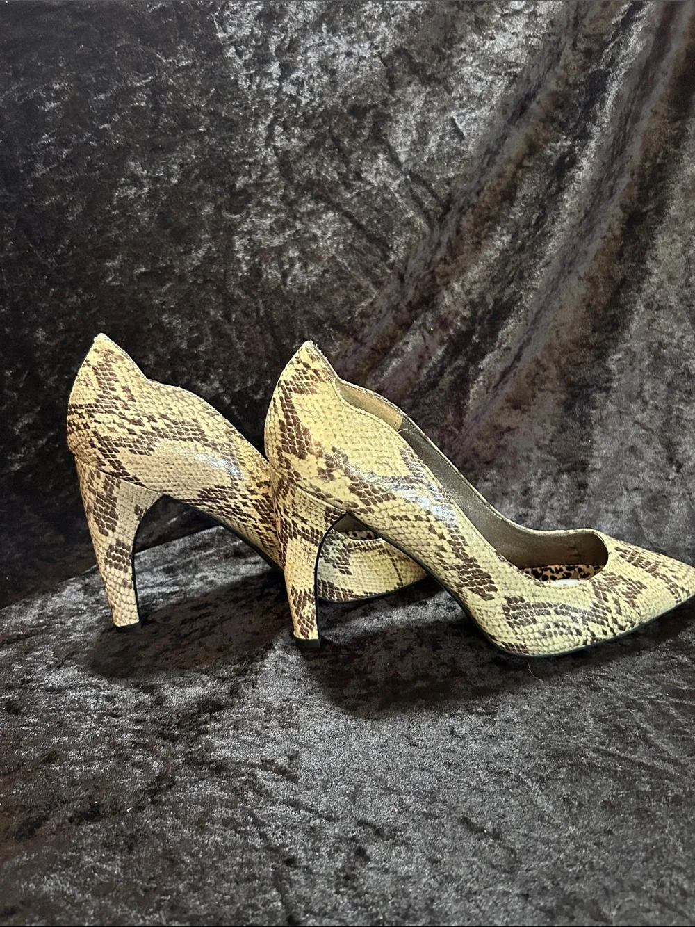Sam Edelman classic snakeskin