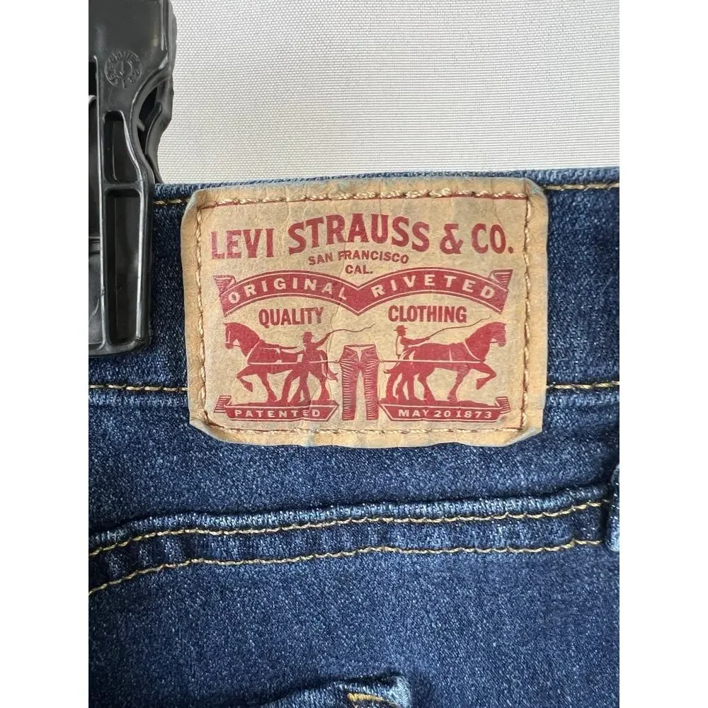 Levis levi 311