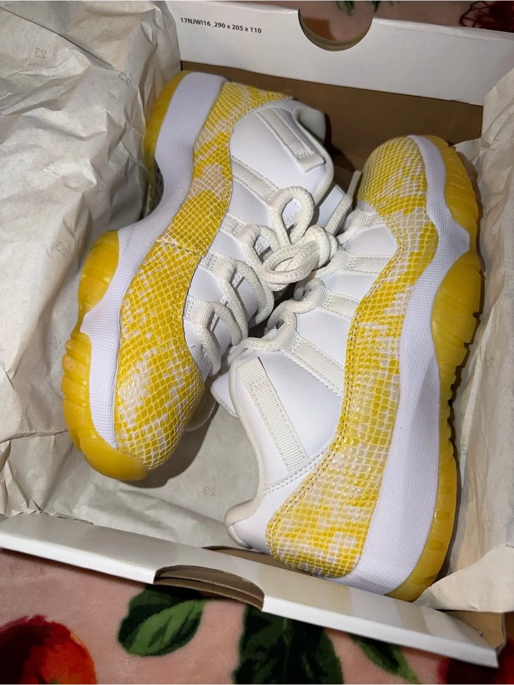 Jordan brand new