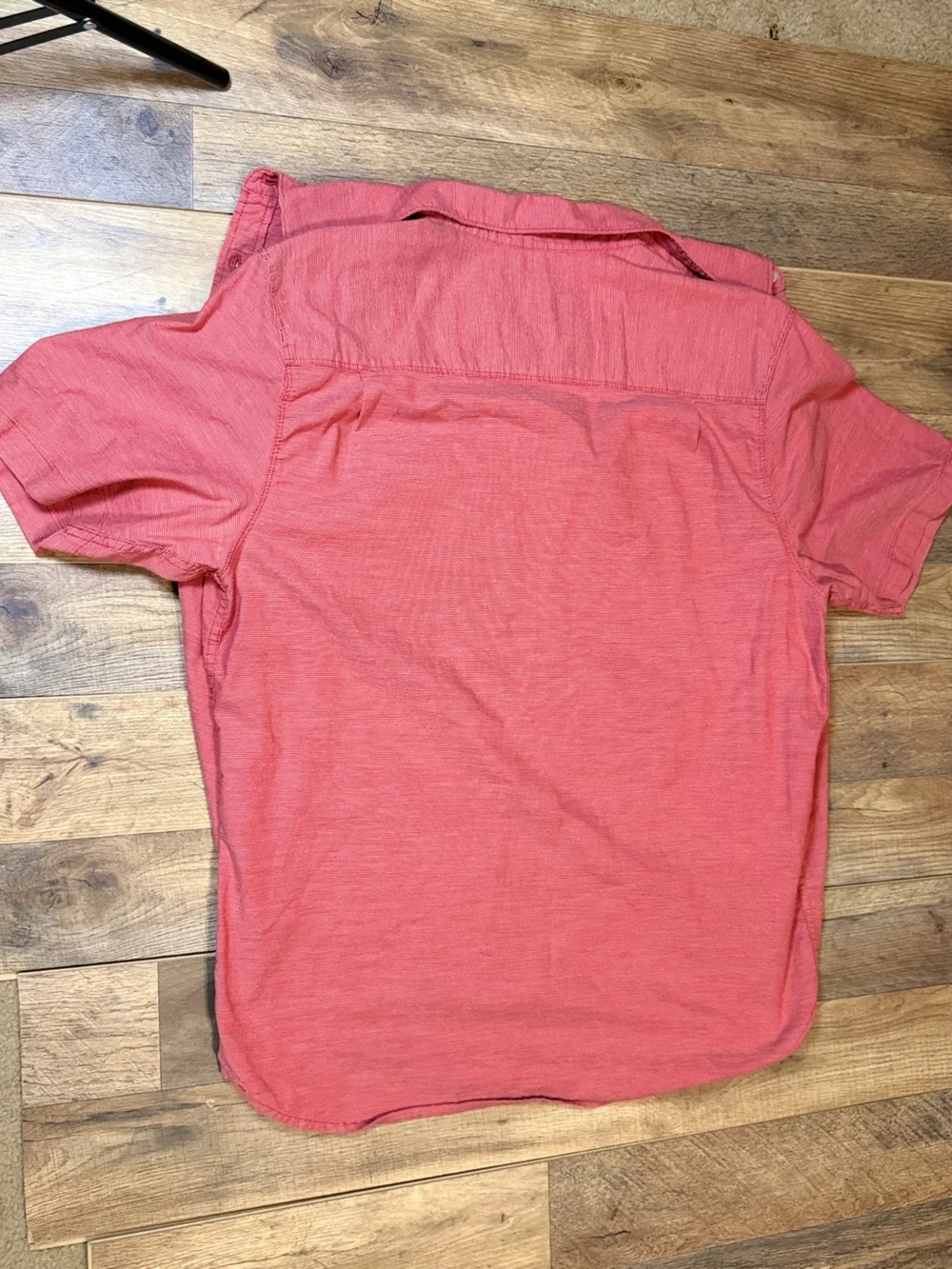 The North Face brand north