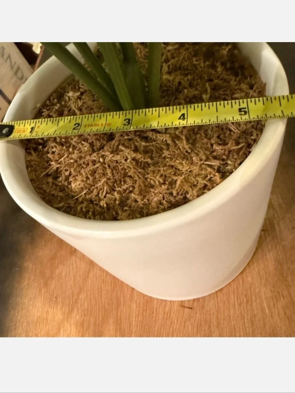 Threshold rearranged monstera stems