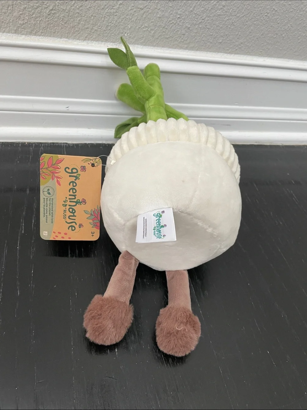 Jazwares create plant