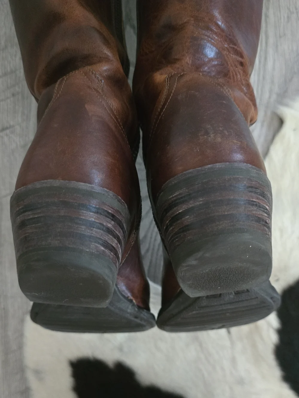 Ariat chestnut brown