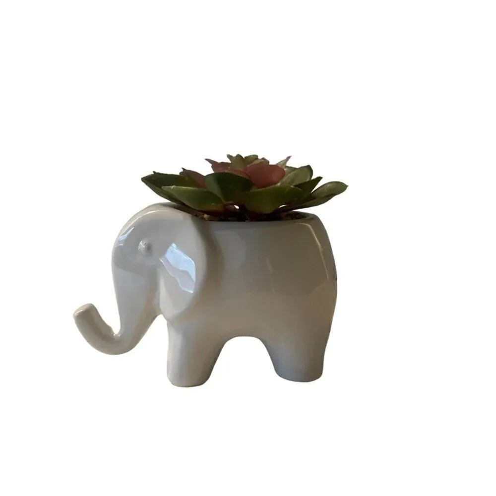 White Elephant Succulent Arrangement Home Decor