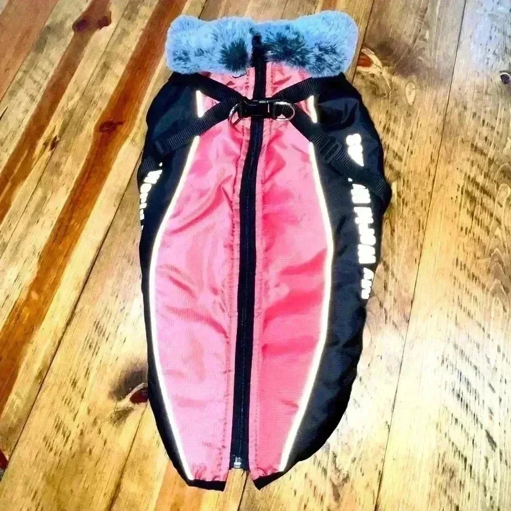 fancy pet tags size measurements chest